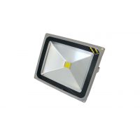 Proiector LED,tip COB,20W